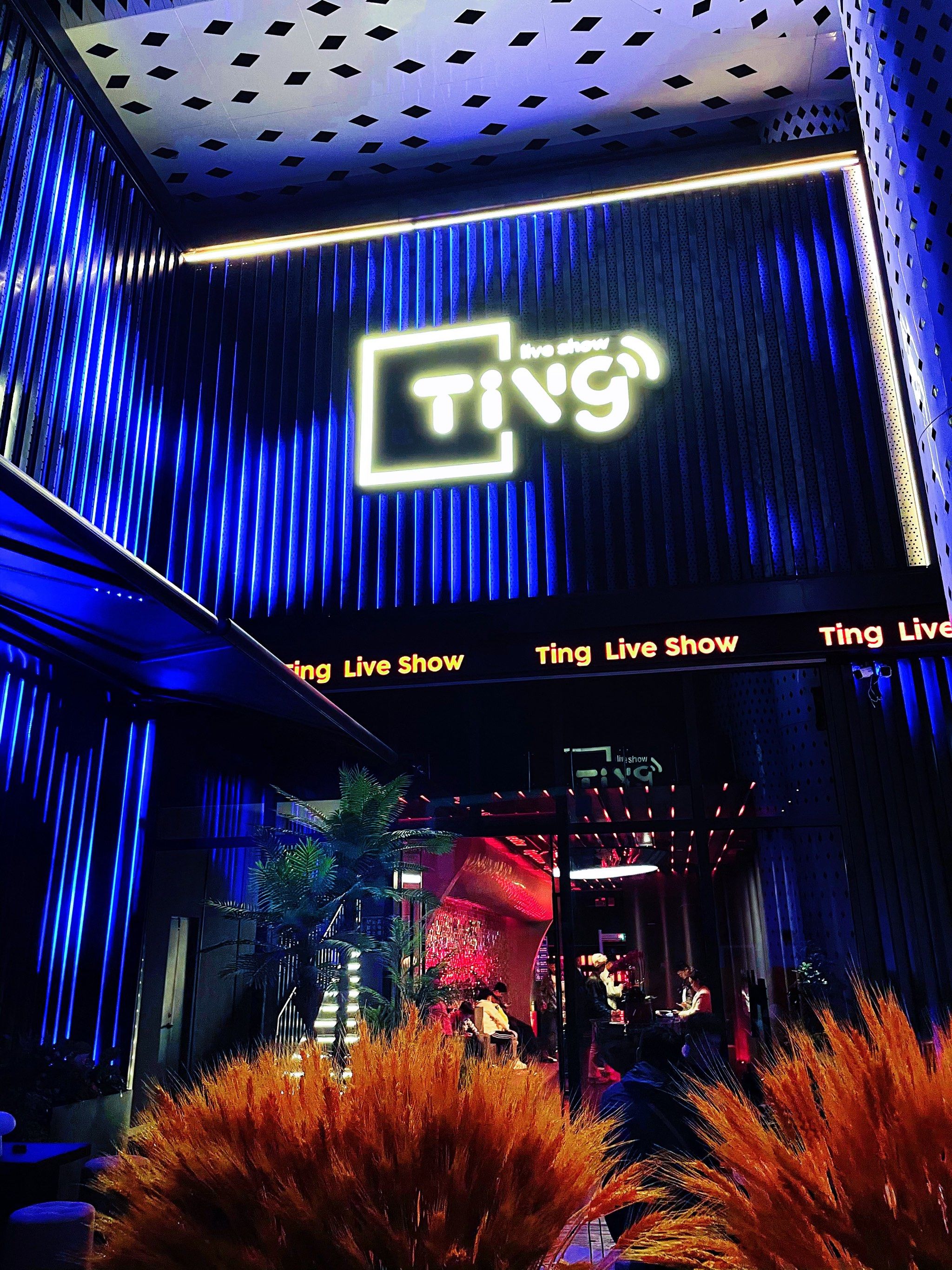南宁商务ktv，商务ktv意义何在-邕宁区ktv预订